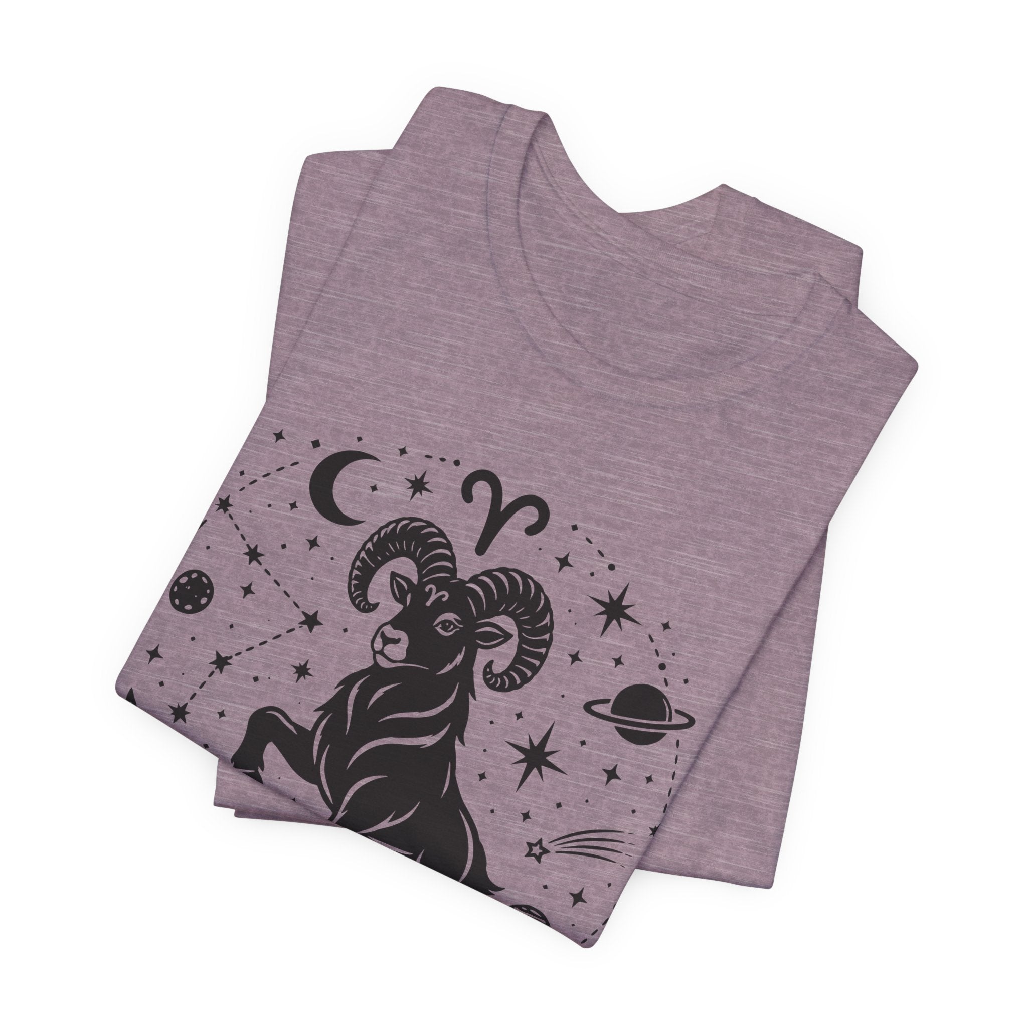 I'm An Aries T-Shirt