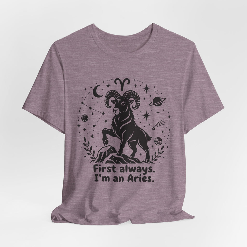 I'm An Aries T-Shirt