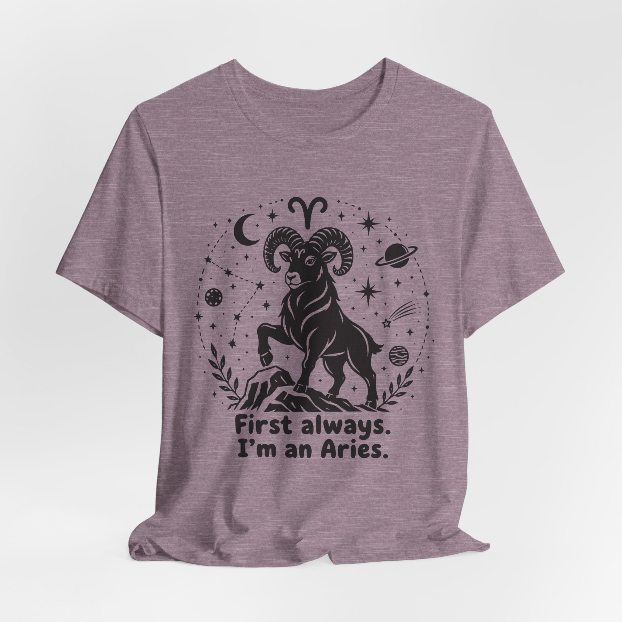 I'm An Aries T-Shirt