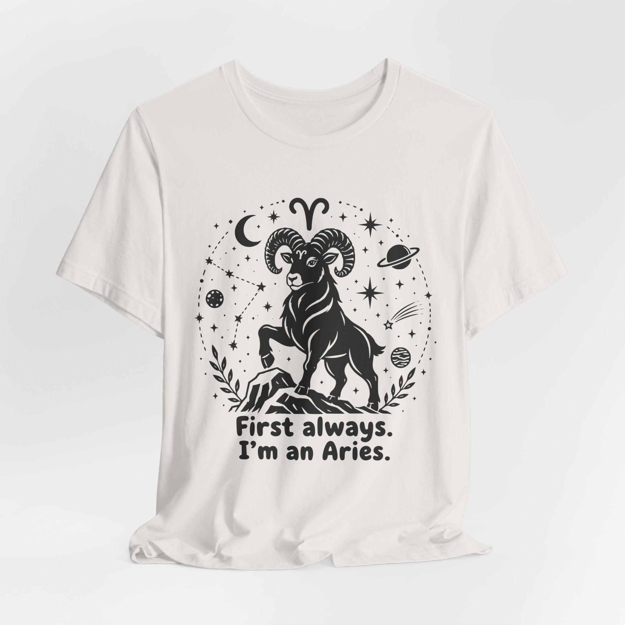 I'm An Aries T-Shirt