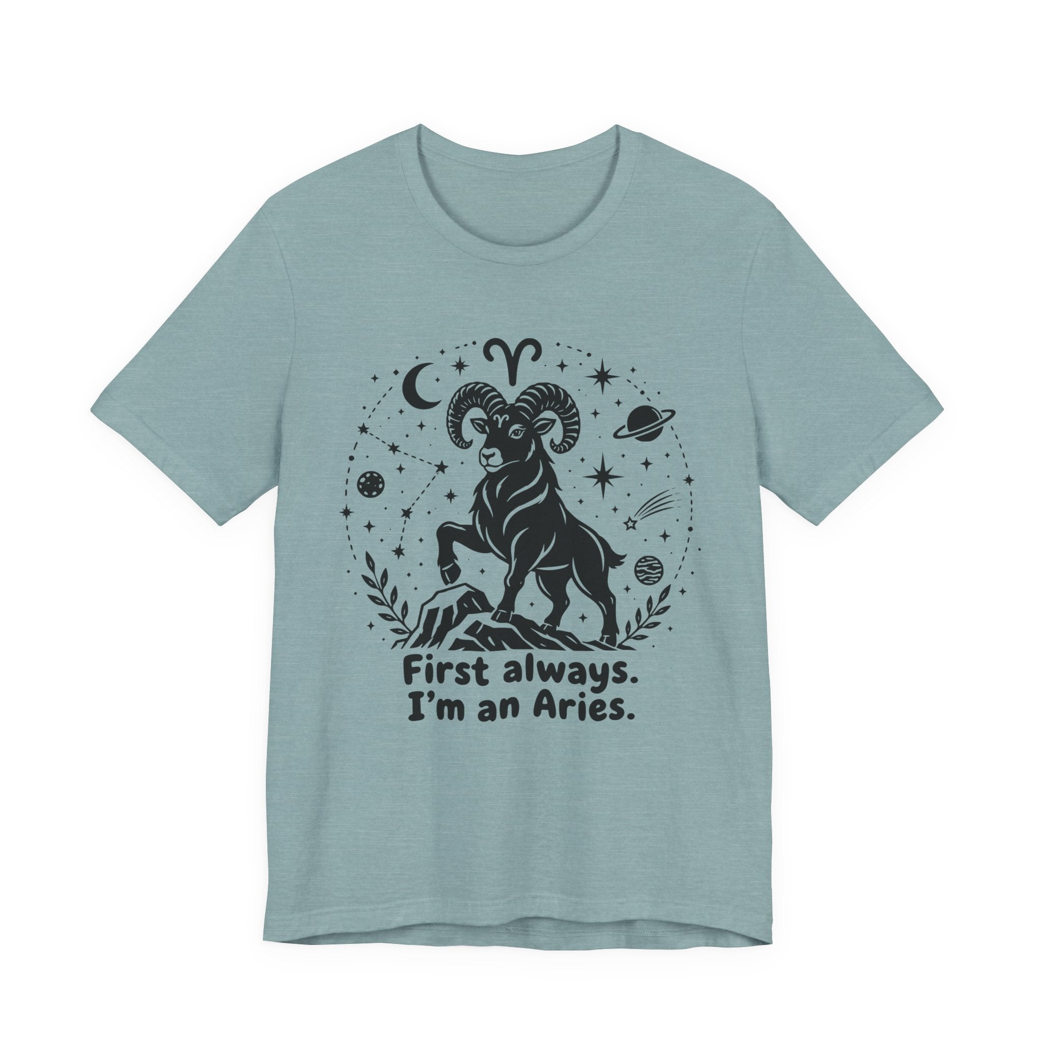 I'm An Aries T-Shirt
